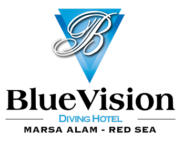 BlueVision