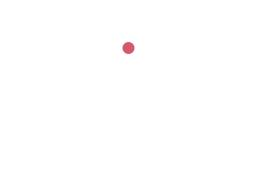 Full Stack Web Developer